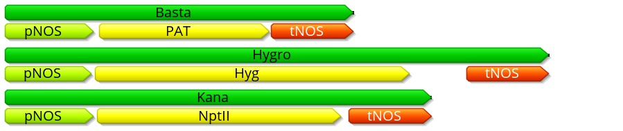 Basta, Hygro, Kana